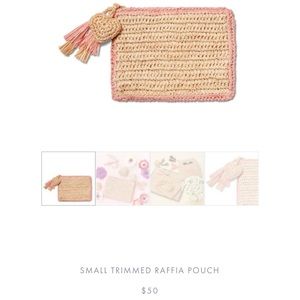 Aerin Raffia Pouch